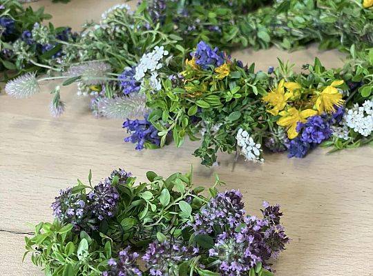 Praktyki dla studentów pedagogiki Grundvigiańskiej